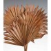 SUN PALM Spice  8" x 14"- 